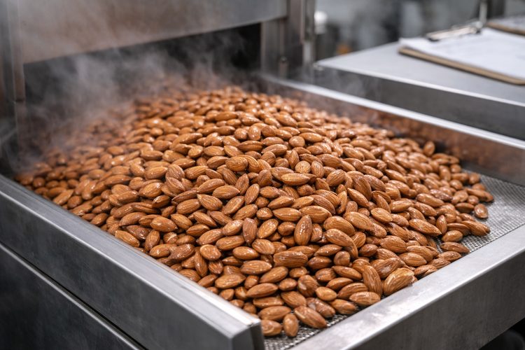 Illustrated placeholder for Pasteurized Almonds